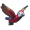 Parrot collects treasure